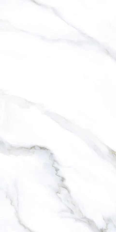 ROCCO WHITE TING view 6